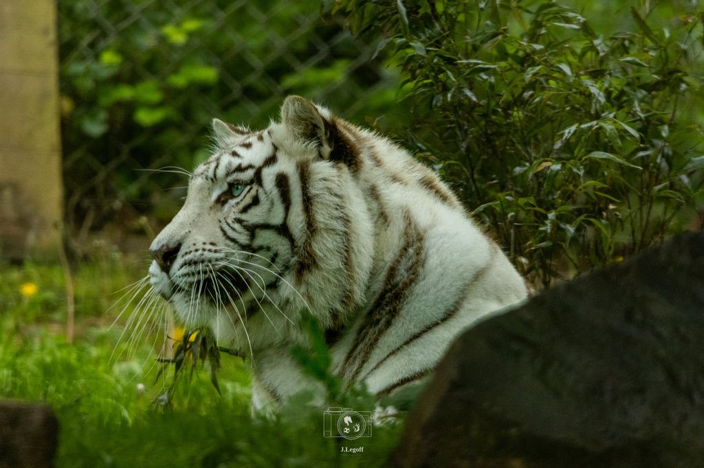 Parc zoologique de Trégomeur