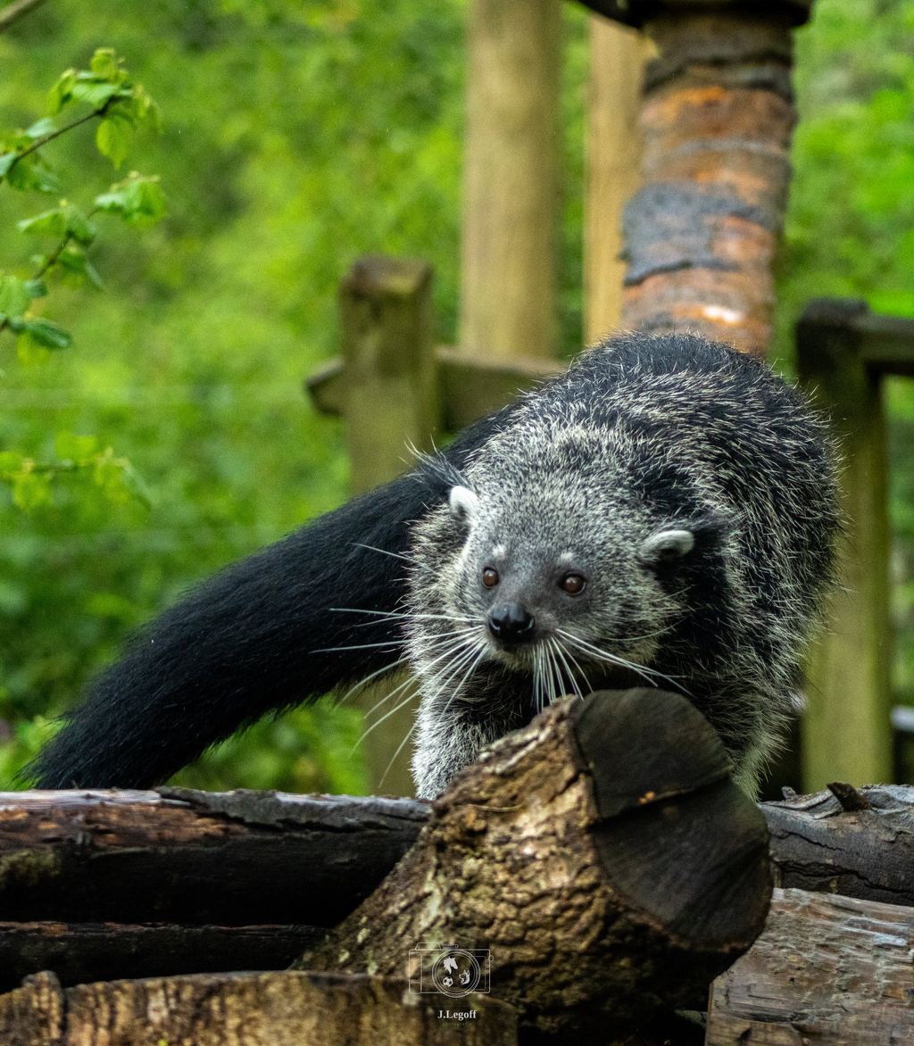 Parc zoologique de Trégomeur